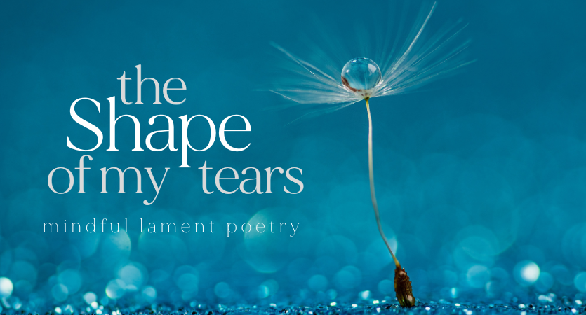A blue image showing a dandelion with one drop of water resting on it, with text on the left that says "The Shape of my Tears"