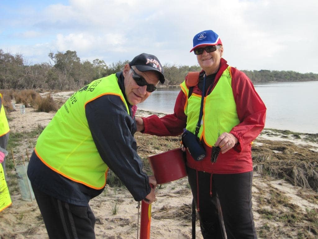 Two bushcare volunteers wearing yellow safety vests are planting seedlings in front the estuary using a long handled hole digger and planter.