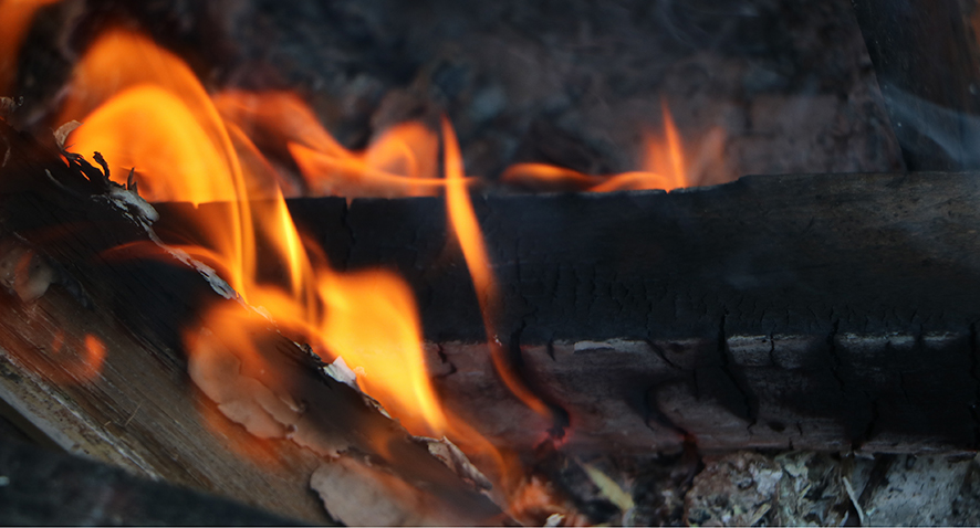 Logs burning in fire