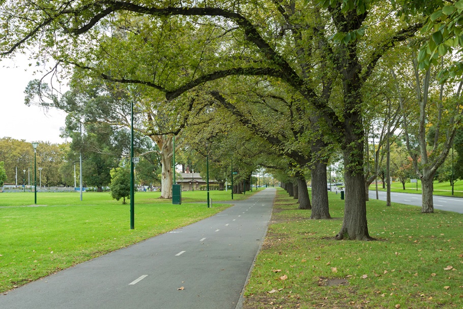 Trees along a footpath near a park